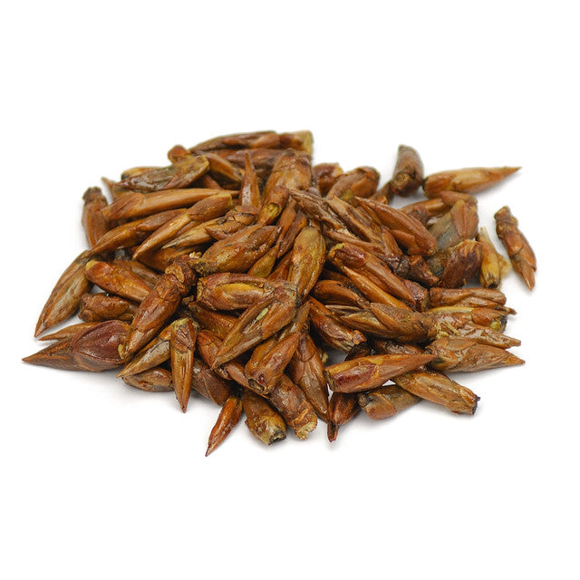 balm in gilead tobacco factory Balm of Gilead Organic balm in gilead tobacco factory Balm of Gilead Organic