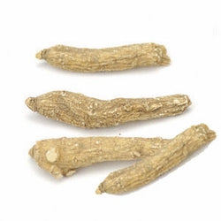 Ginseng American White Root