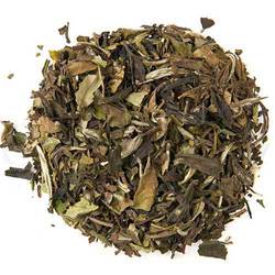 Peach Apricot White Tea (Organic)