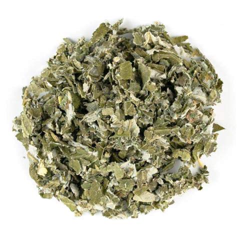 Raspberry Leaf Organic