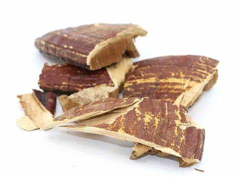 Red Reishi Mushrooms