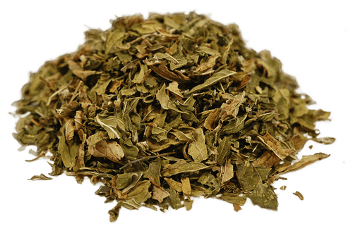 Spearmint Organic