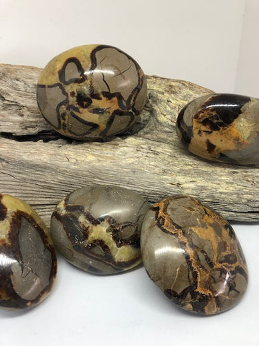 Septarian Gallets