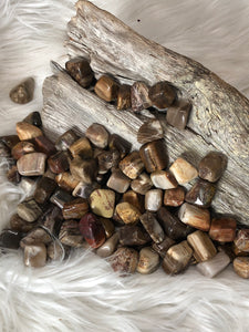 Petrified Wood Tumbles